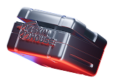 Case